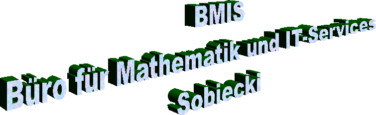 BMIS Bro fr Mathematik- und IT-Services